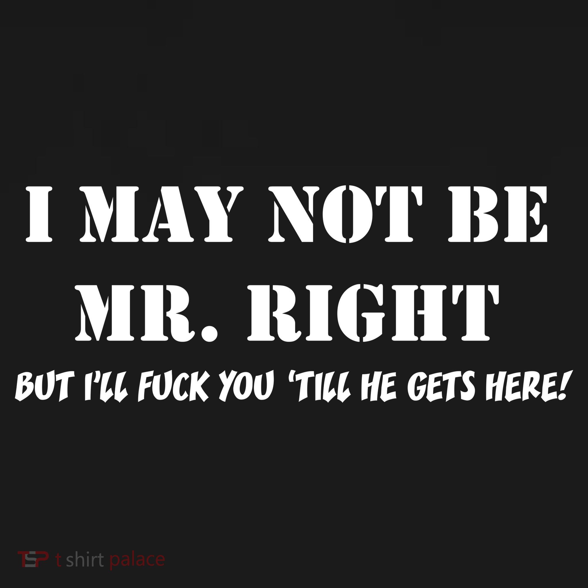 I May Not Be Mr. Right, But I'll Fuck You Until He Get's Here Women's Tank Top