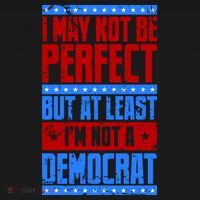 I May Not Be Perfect But At Least Im Not A Democrat Ornament thumb 1