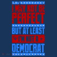 I May Not Be Perfect But At Least Im Not A Democrat Mousepad thumb 1