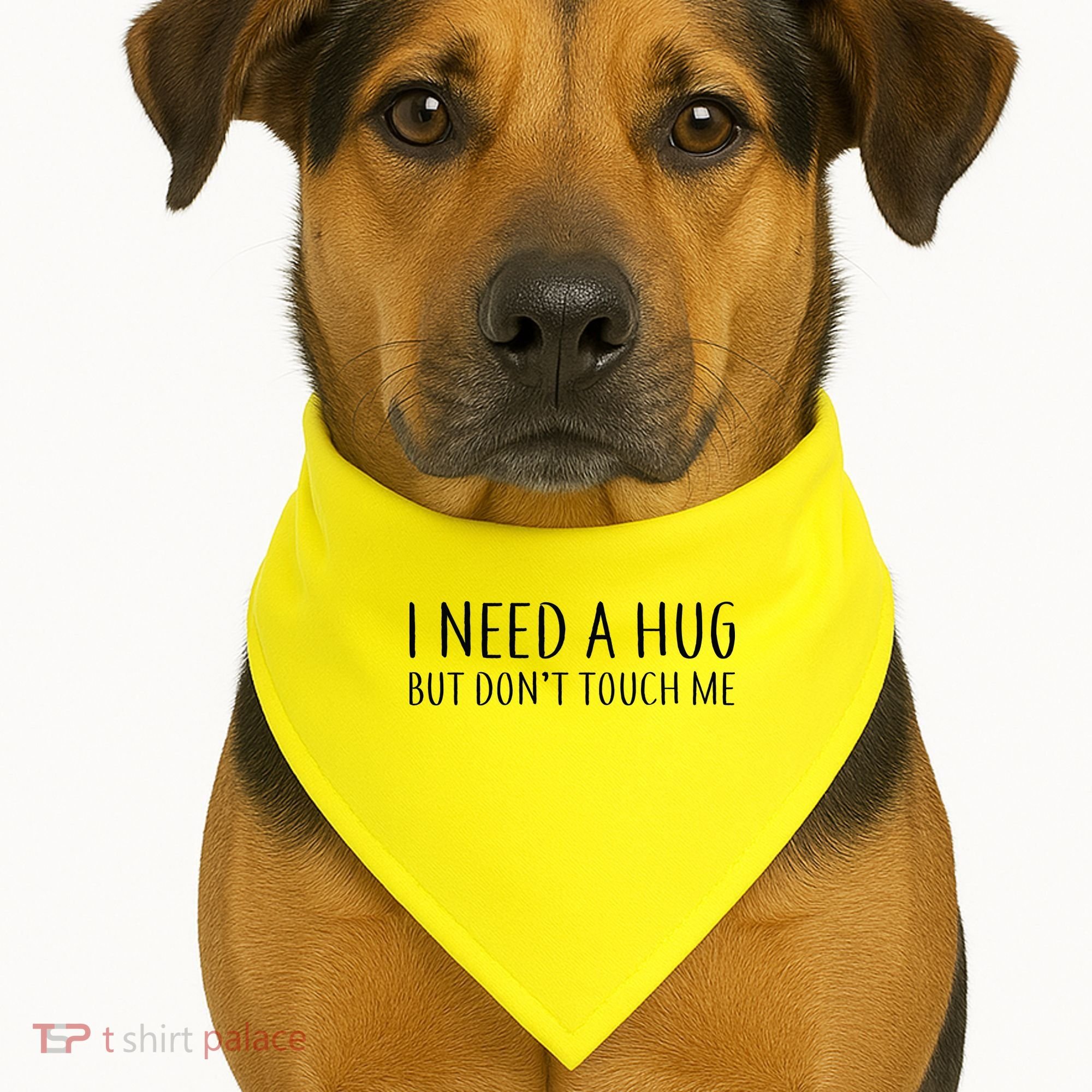 I Need a Hug But Don't Touch Me USA-Made Doggie Bandana