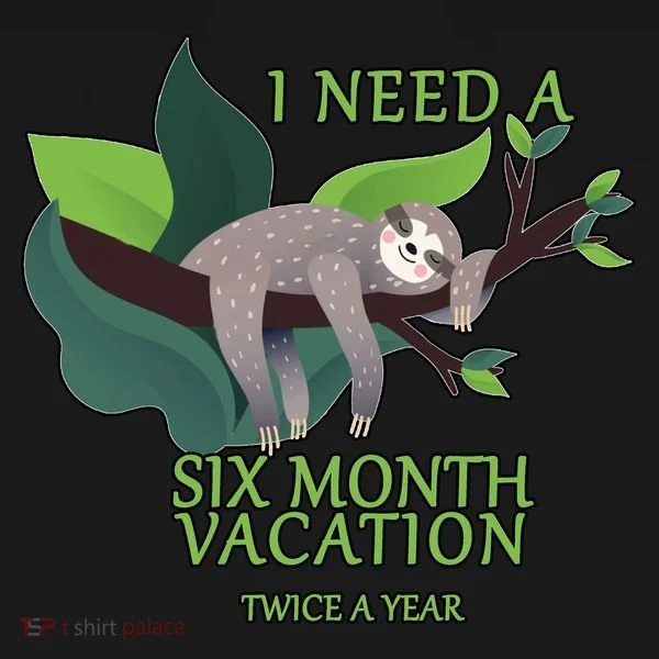 I Need A Six Month Vacation Toddler Hoodie