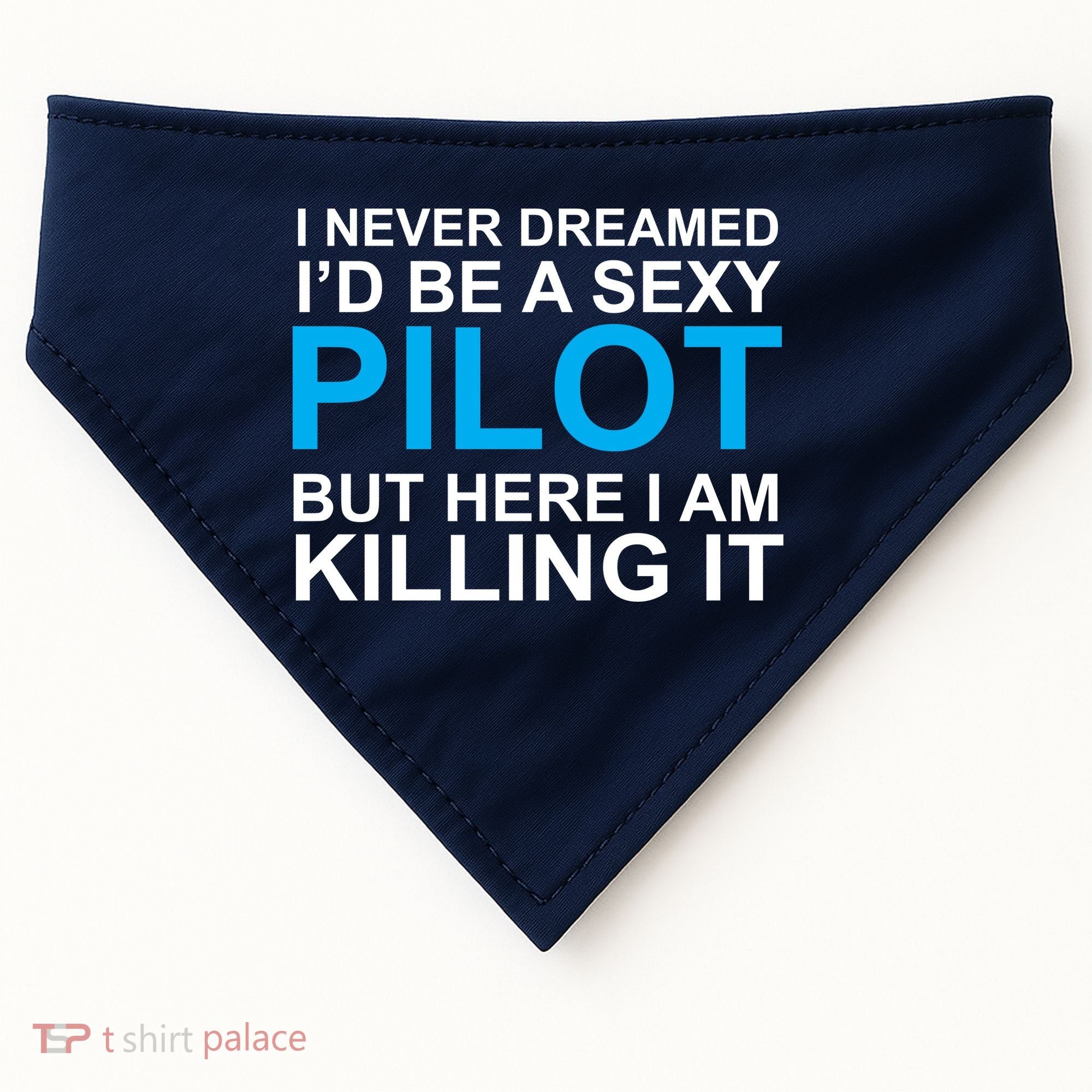 I Never Dreamed I'd Be A Sexy Pilot USA-Made Doggie Bandana