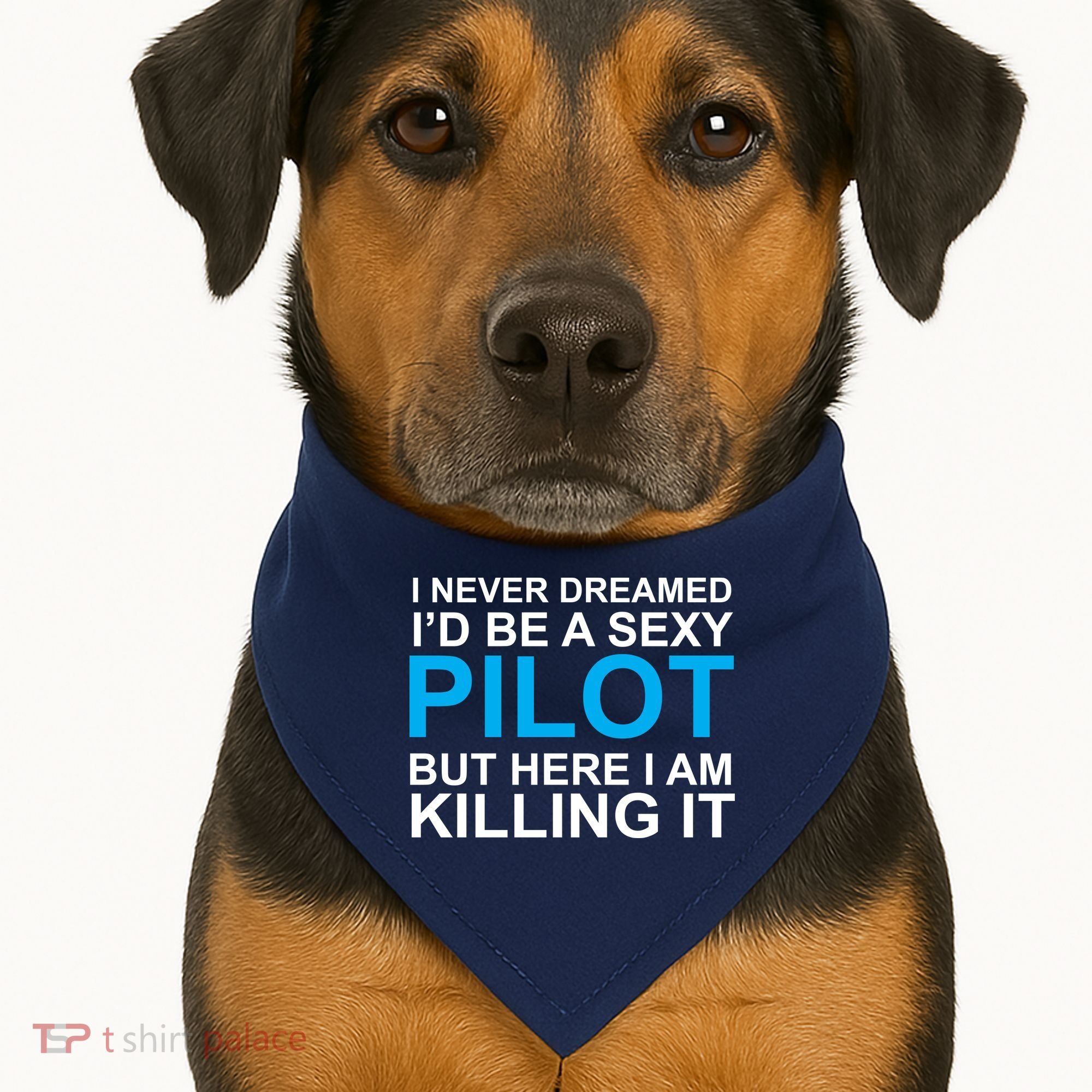 I Never Dreamed I'd Be A Sexy Pilot USA-Made Doggie Bandana