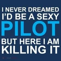 I Never Dreamed I'd Be A Sexy Pilot Hoodie thumb 2