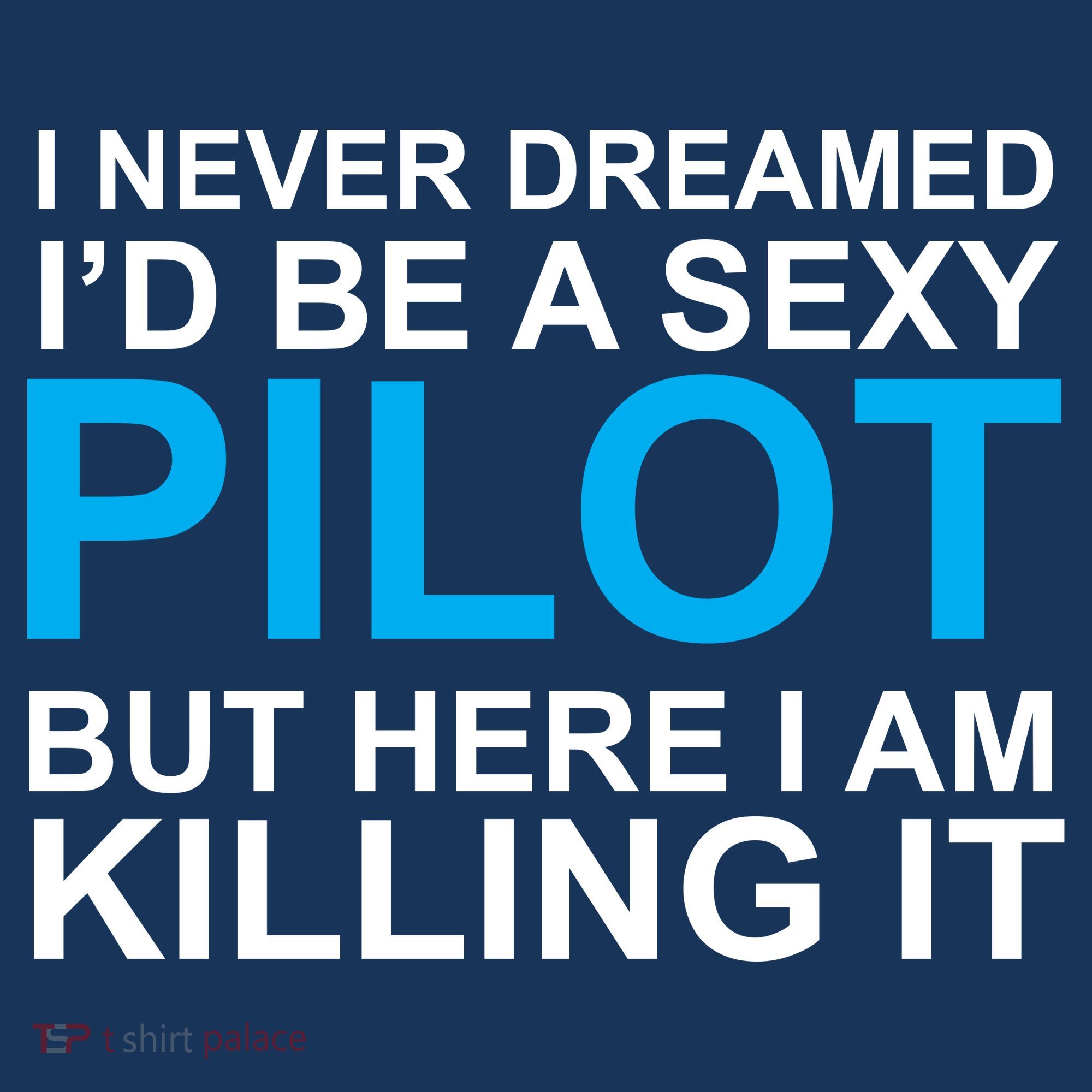 I Never Dreamed I'd Be A Sexy Pilot Apron