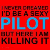 I Never Dreamed I'd Be A Sexy Pilot Santa Hat thumb 1