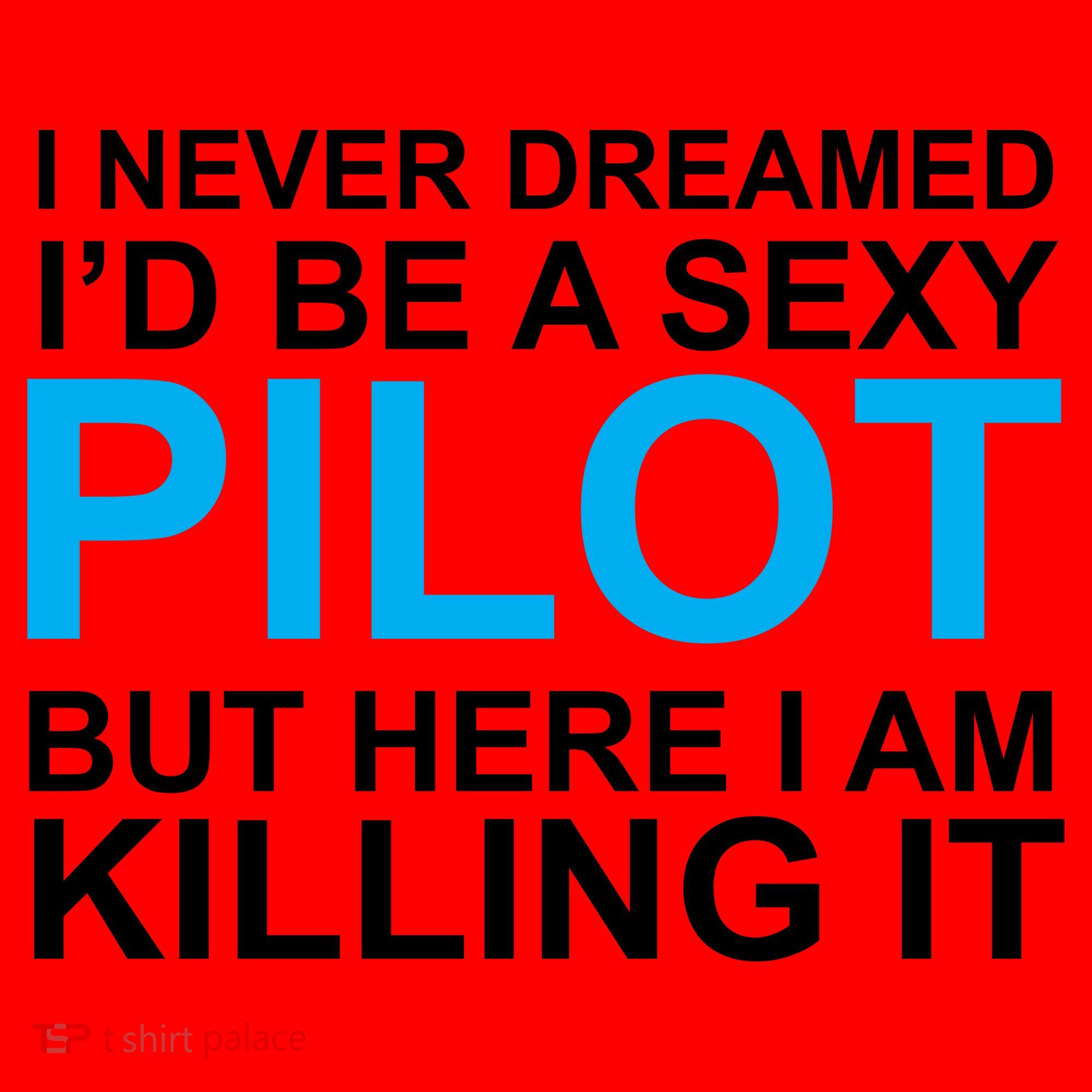 I Never Dreamed I'd Be A Sexy Pilot Santa Hat