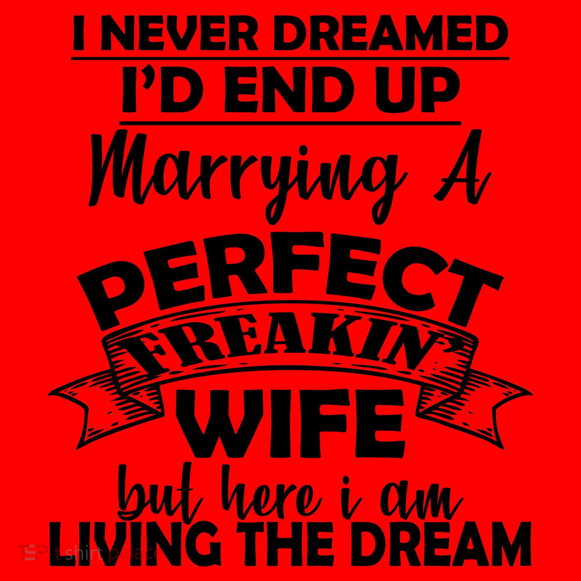 I Never Dreamed I'd End Up Marrying A Perfect Wife Santa Hat