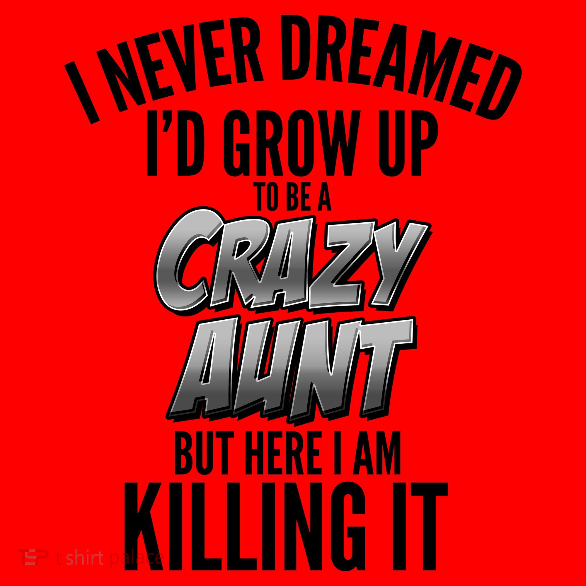 I Never Dreamed I'd Grow Up to be a Crazy Aunt Santa Hat