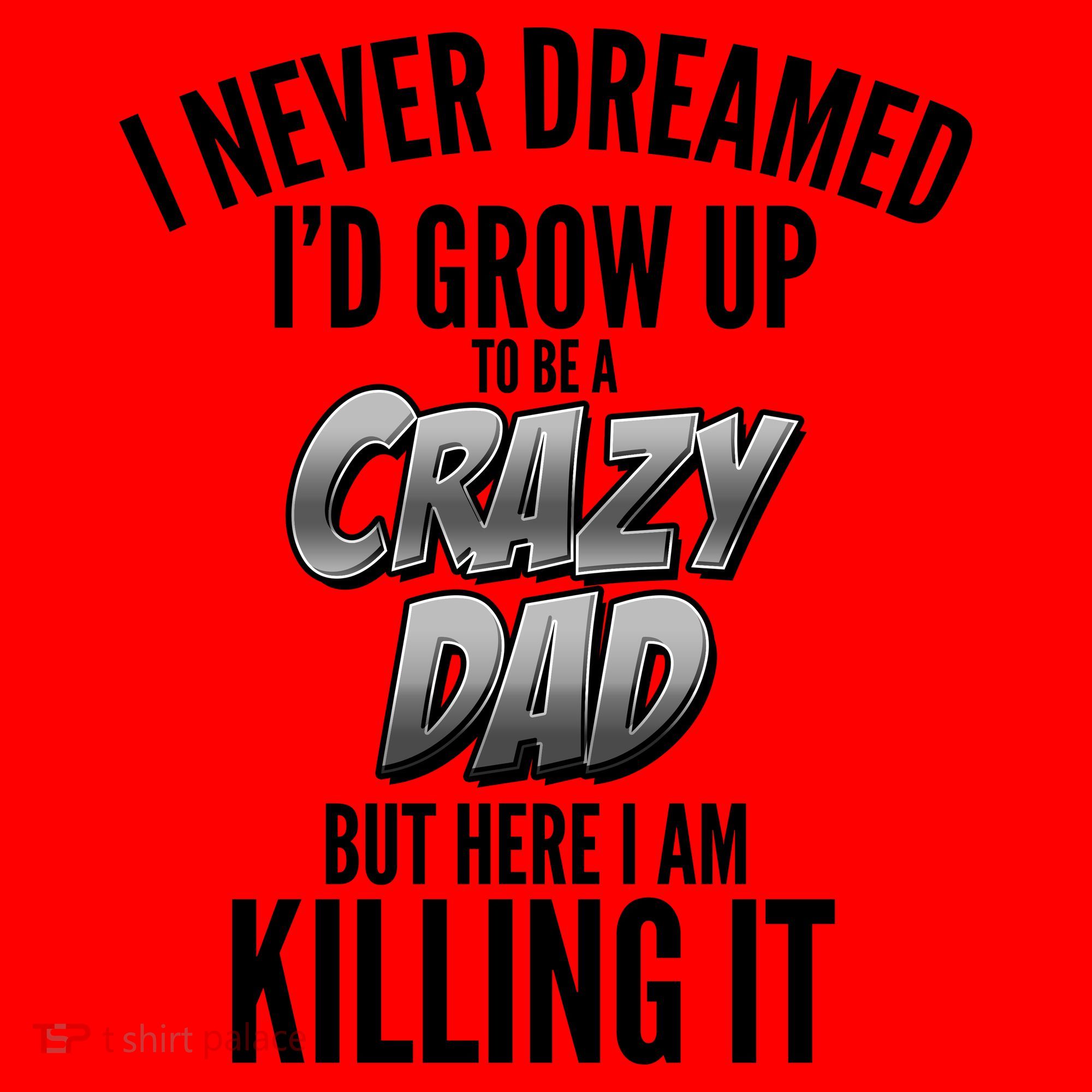 I Never Dreamed I'd Grow Up to be a Crazy Dad Santa Hat