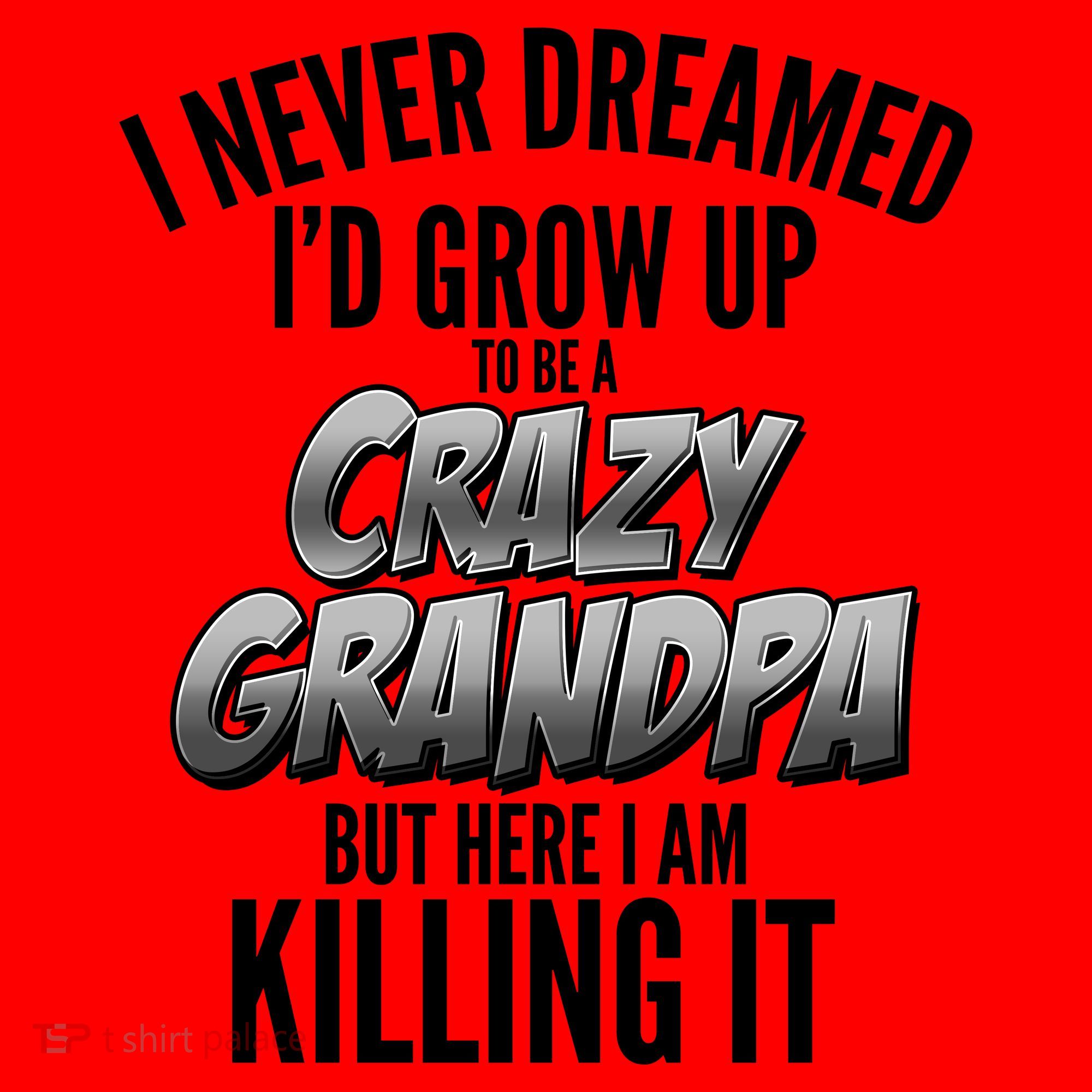 I Never Dreamed I'd Grow Up to be a Crazy Grandpa Santa Hat
