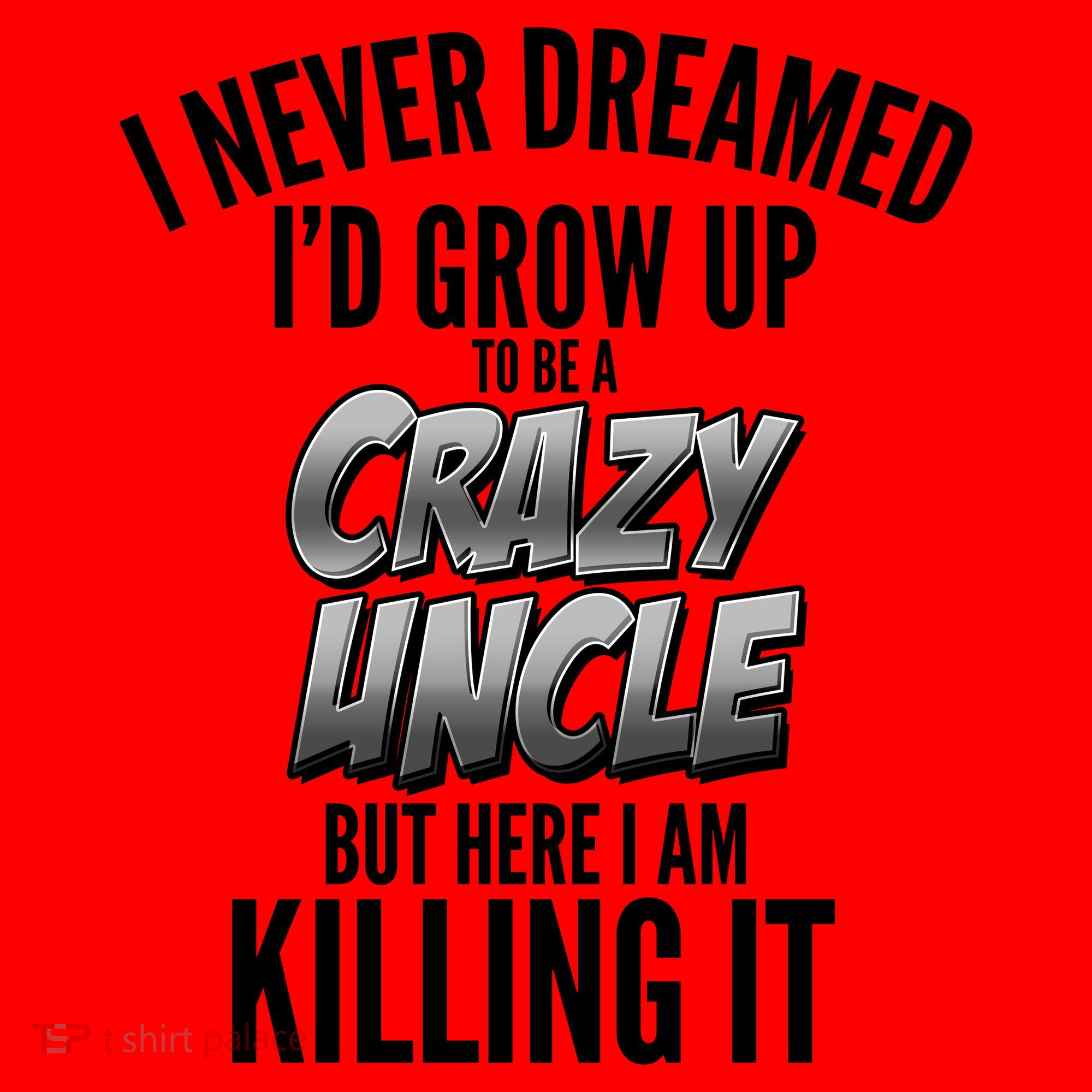 I Never Dreamed I'd Grow Up to be a Crazy Uncle Santa Hat