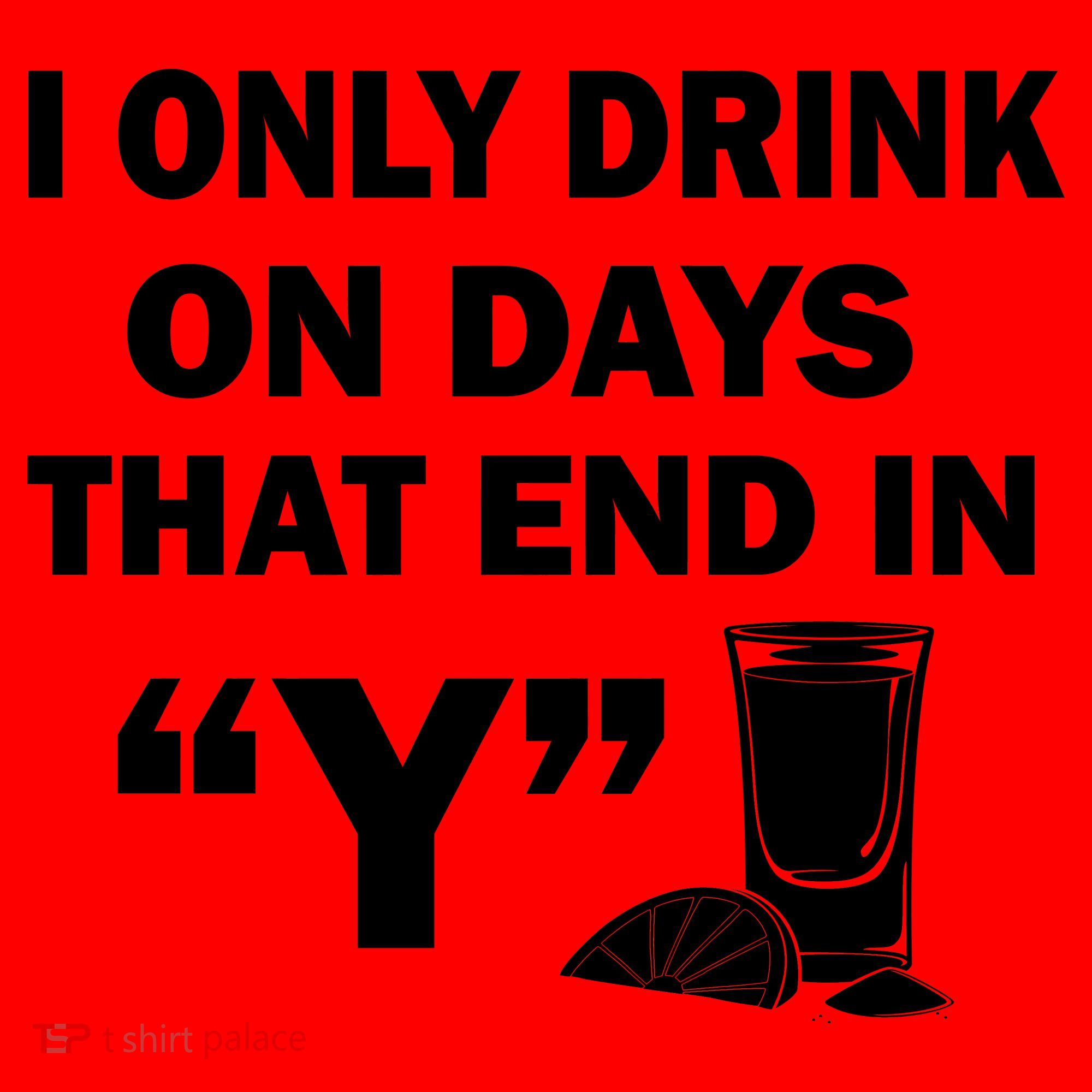 I only Drink On Days That End in Y Santa Hat