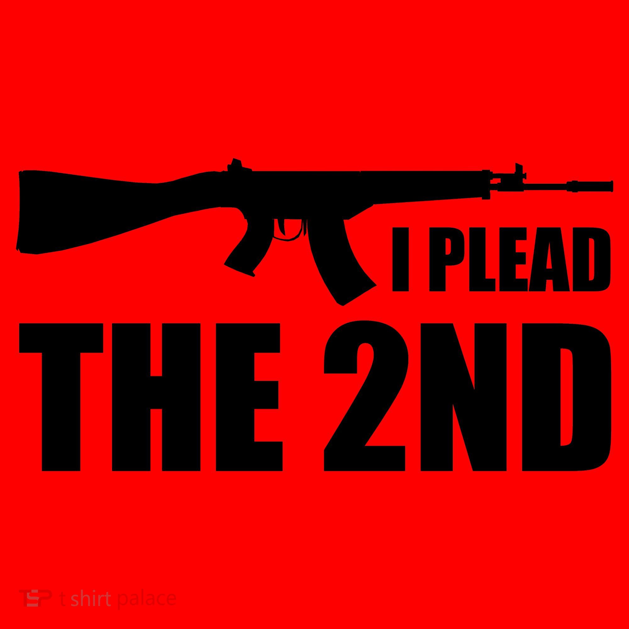 I Plead The Second Santa Hat
