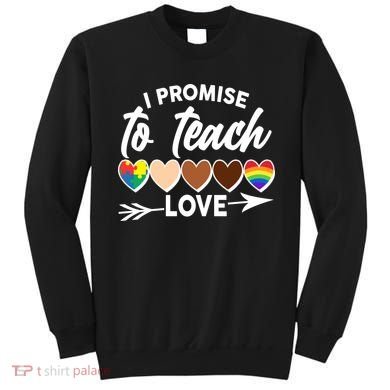I Promise To Teach Love Diversity Equality Sweatshirt