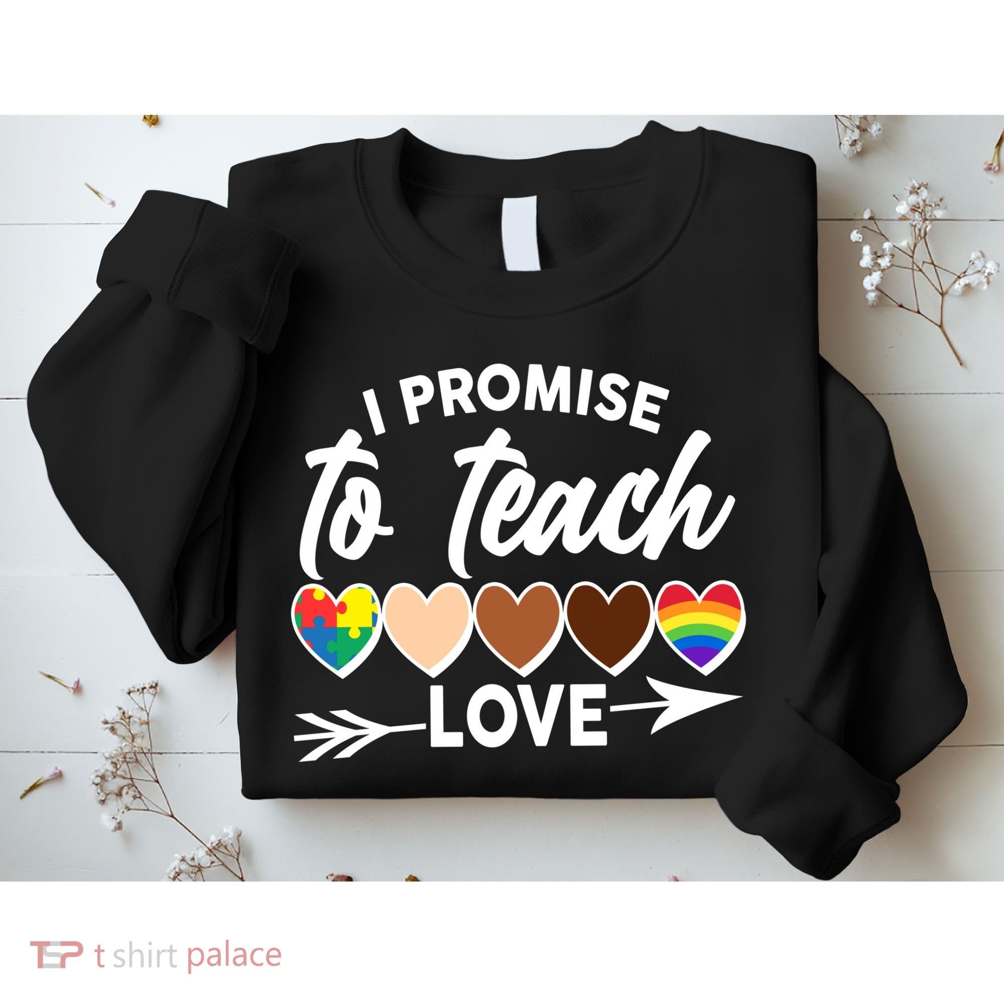 I Promise To Teach Love Diversity Equality Sweatshirt