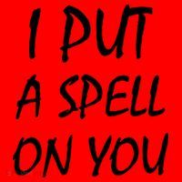I Put A Spell On You Funny Witch Santa Hat thumb 1