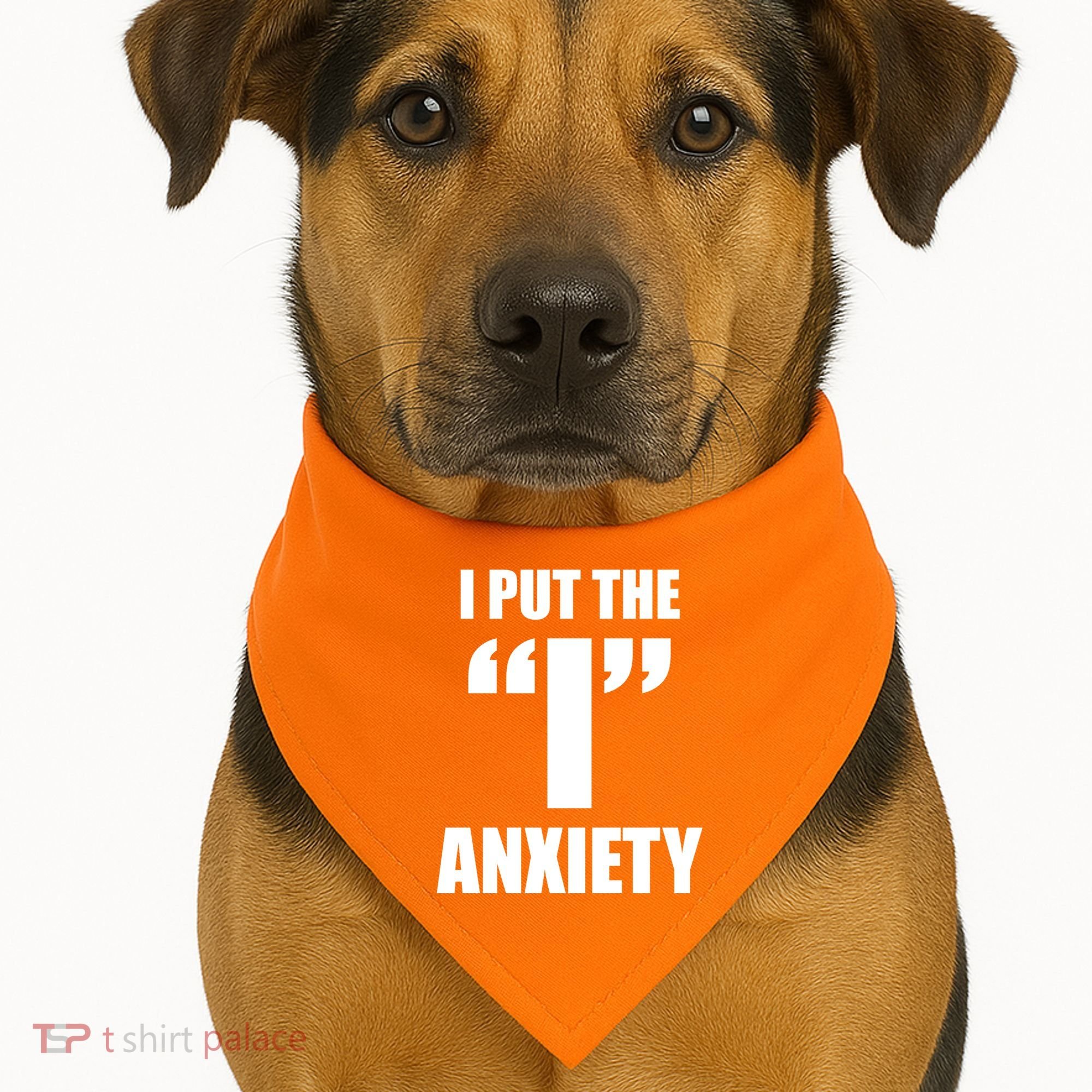 I Put The 1 Anxiety USA-Made Doggie Bandana