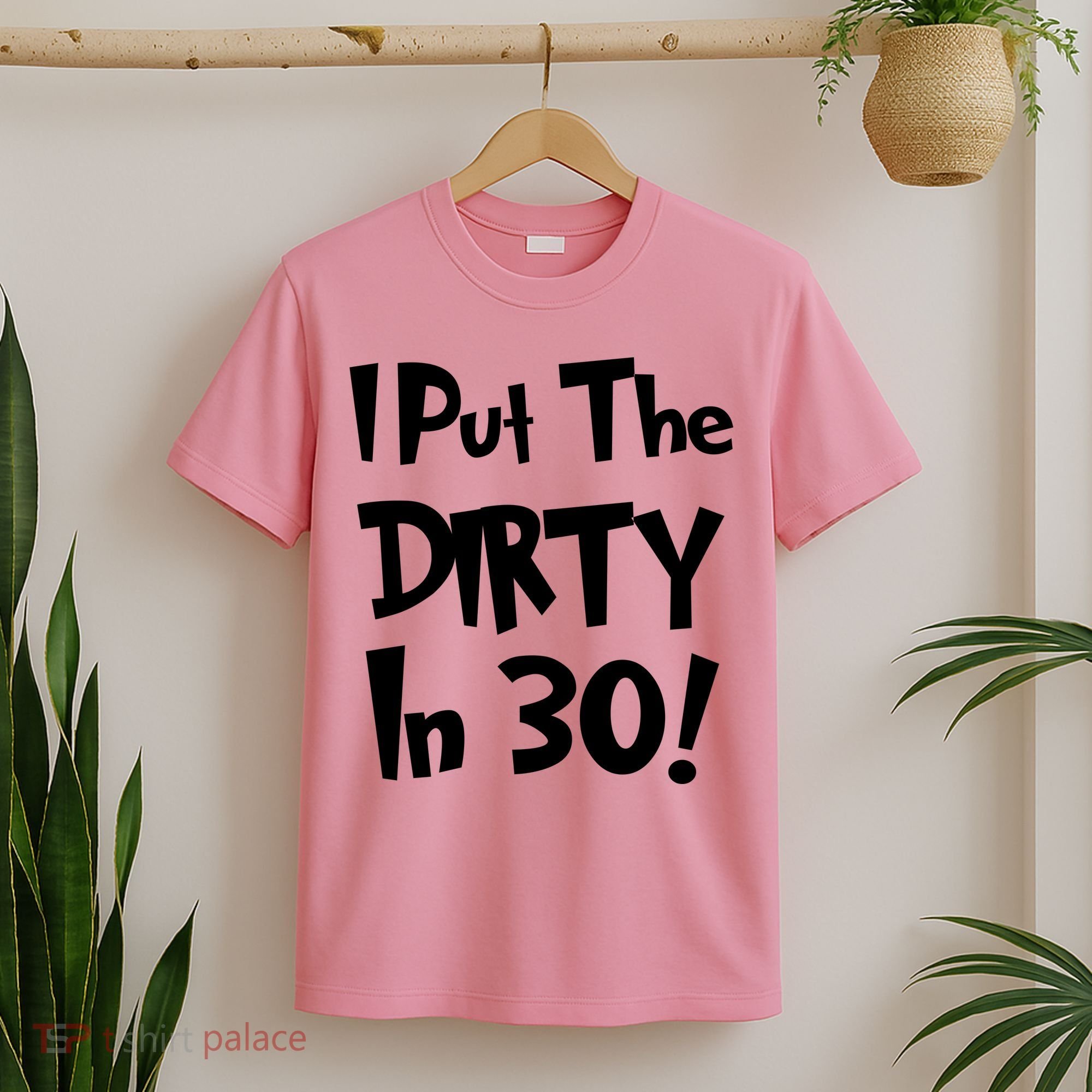 I Put The Dirty In 30 Funny Birthday Gift T-Shirt