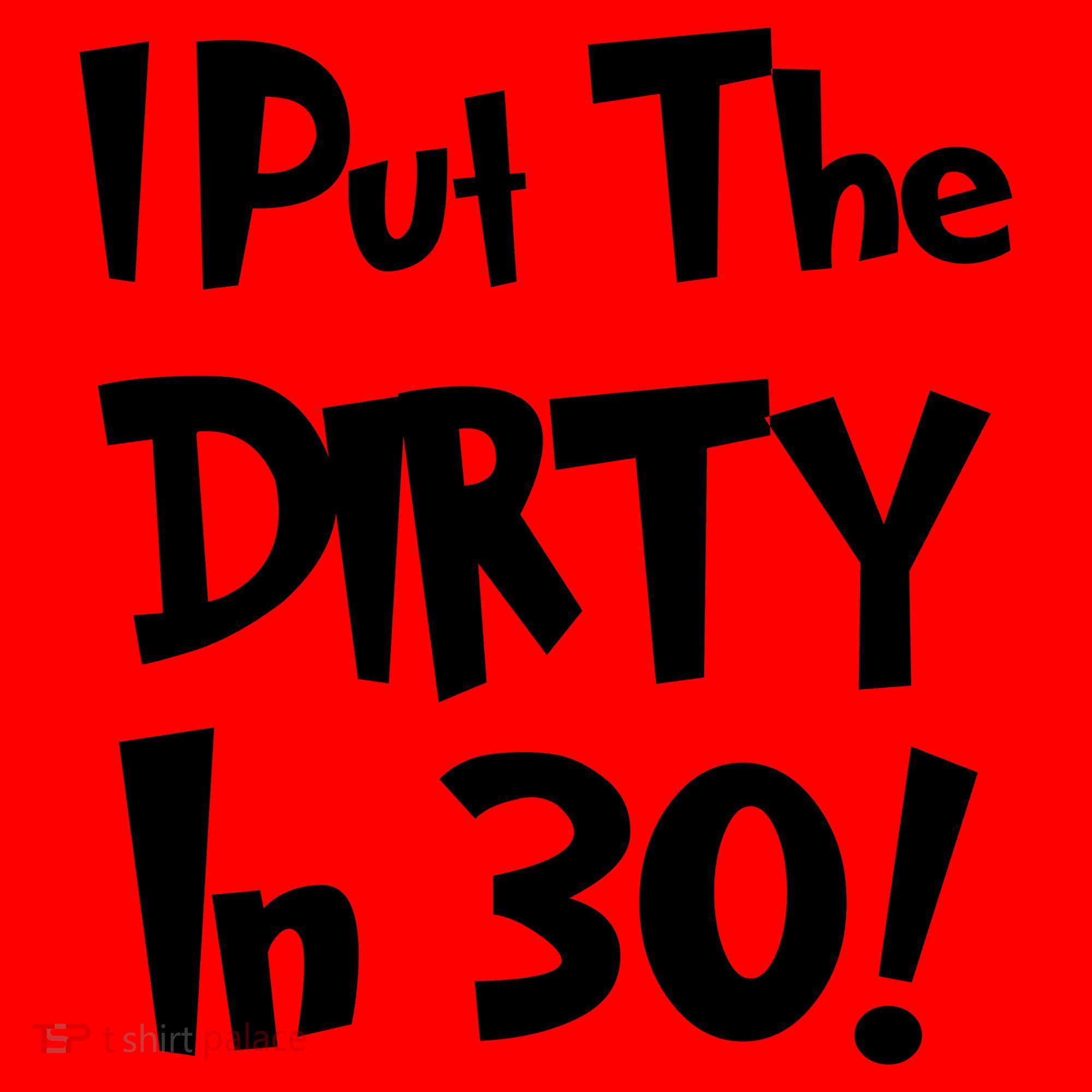I Put The Dirty In 30 Funny Birthday Gift Santa Hat
