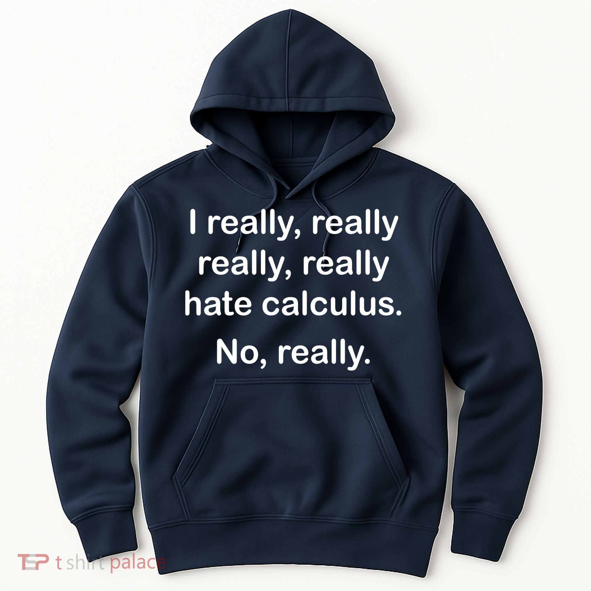 I Really Hate Calculus Hoodie