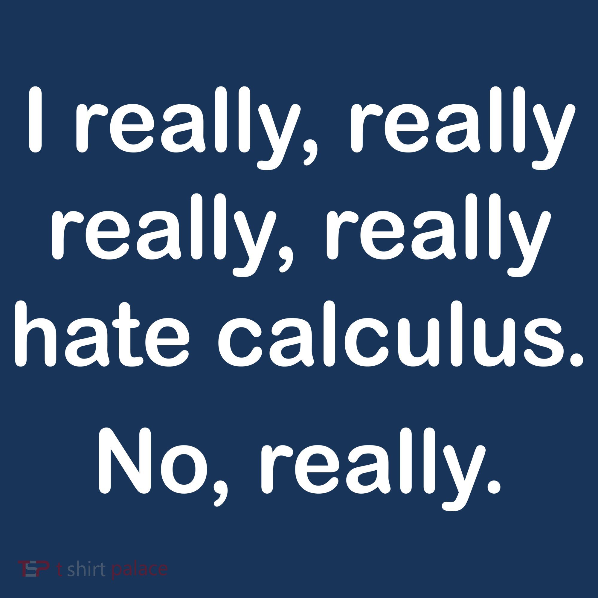 I Really Hate Calculus Apron