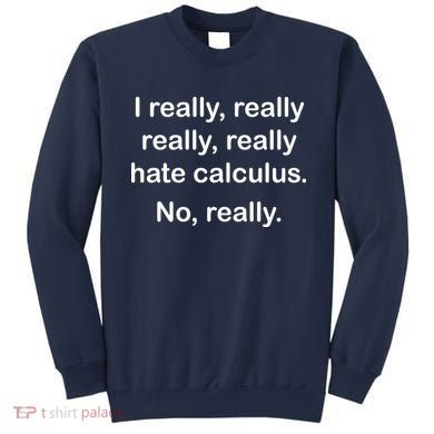 I Really Hate Calculus Sweatshirt