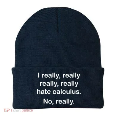 I Really Hate Calculus Beanie
