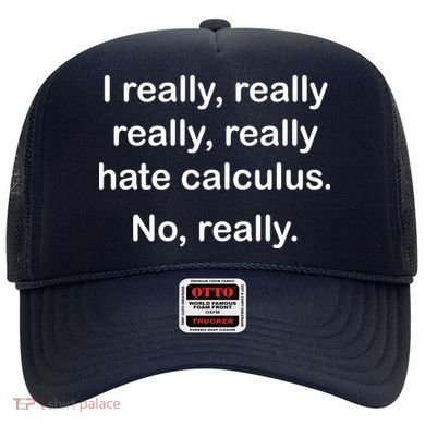 I Really Hate Calculus Hat