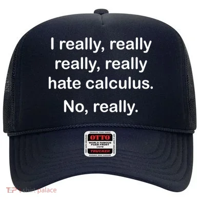 I Really Hate Calculus Hat