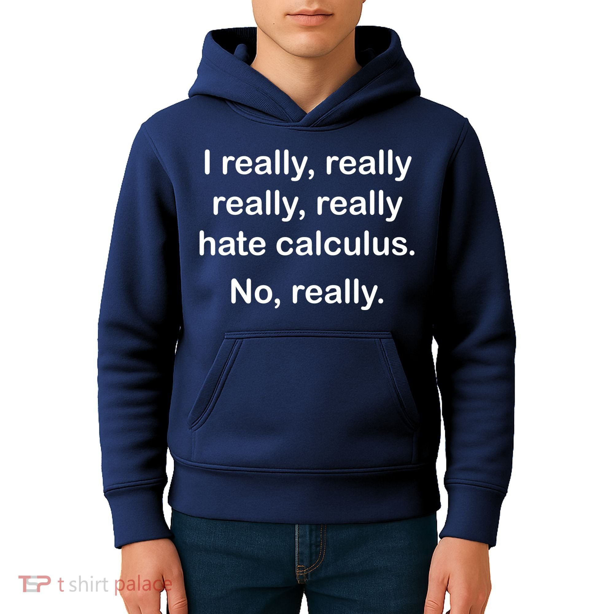 I Really Hate Calculus Kids Hoodie