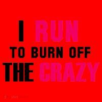 I Run To Burn Off The Crazy Santa Hat thumb 1