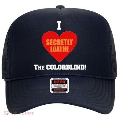 I Secretly Loathe Colorblind Hat