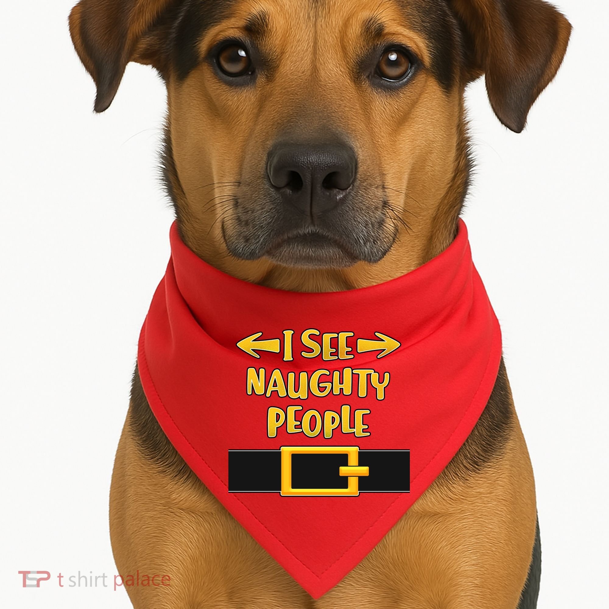 I See Naughty People Santa Or Elf Top Costume USA-Made Doggie Bandana