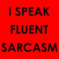 I Speak Fluent Sarcasm Santa Hat thumb 1