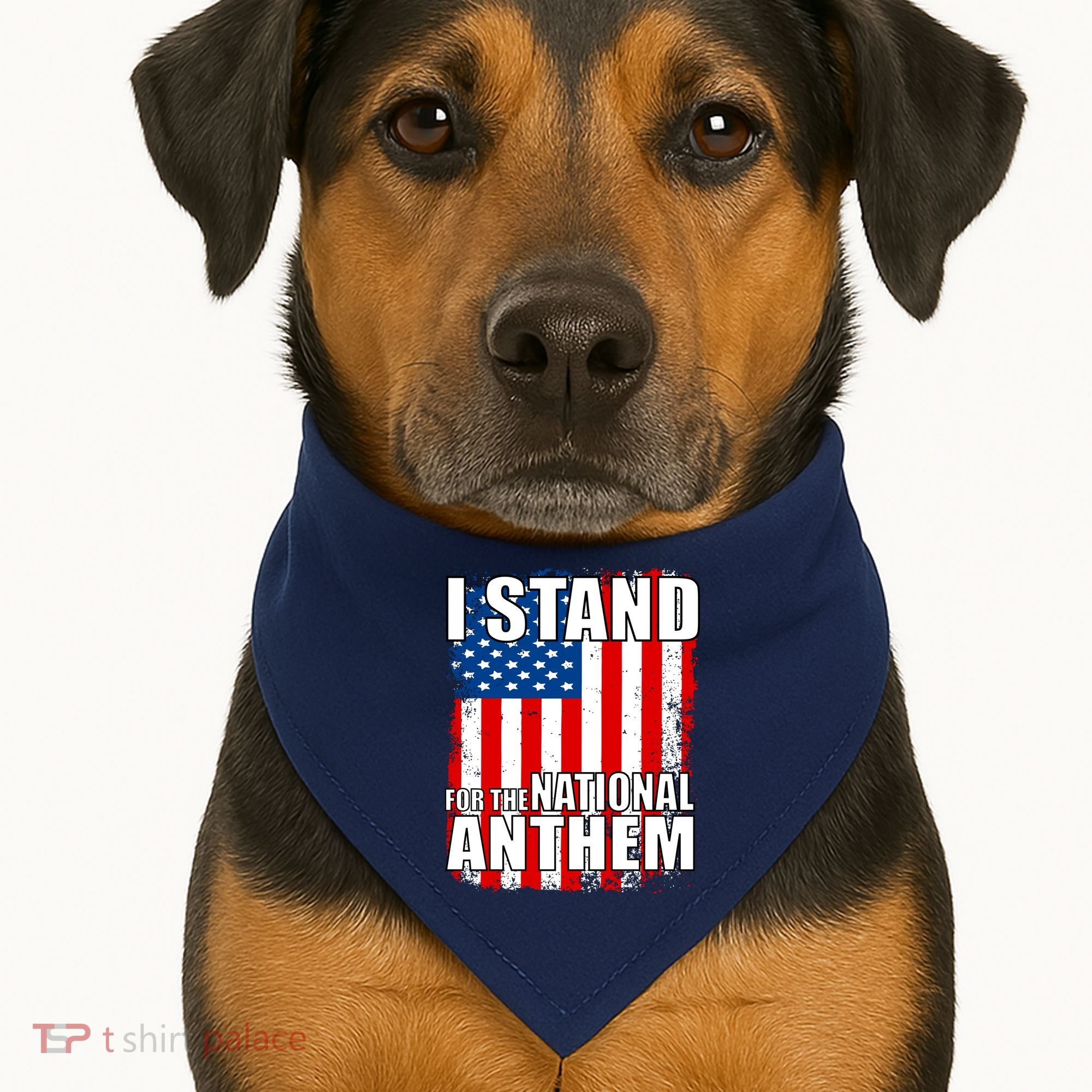 I Stand For The National Anthem USA-Made Doggie Bandana