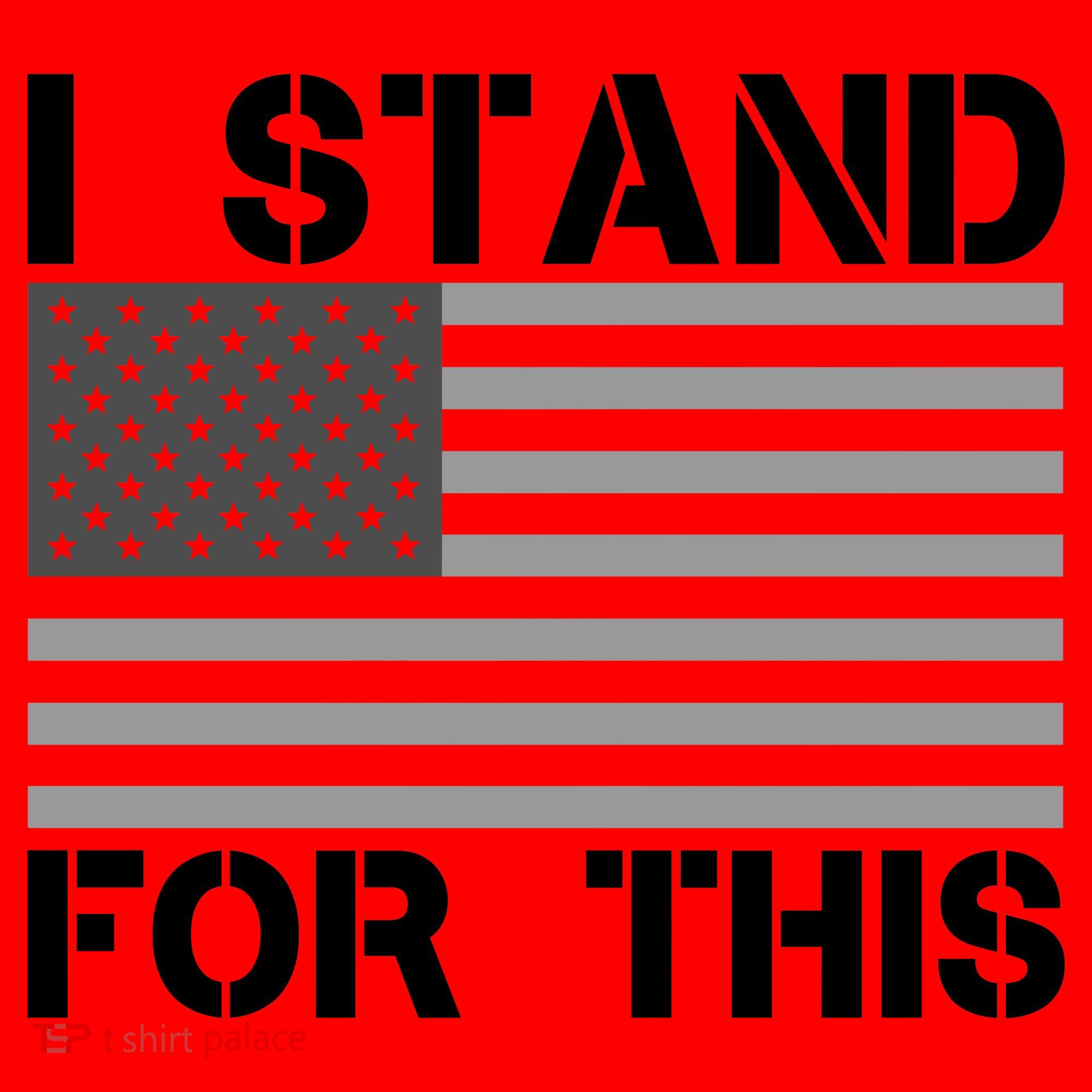I Stand For This USA Flag Santa Hat