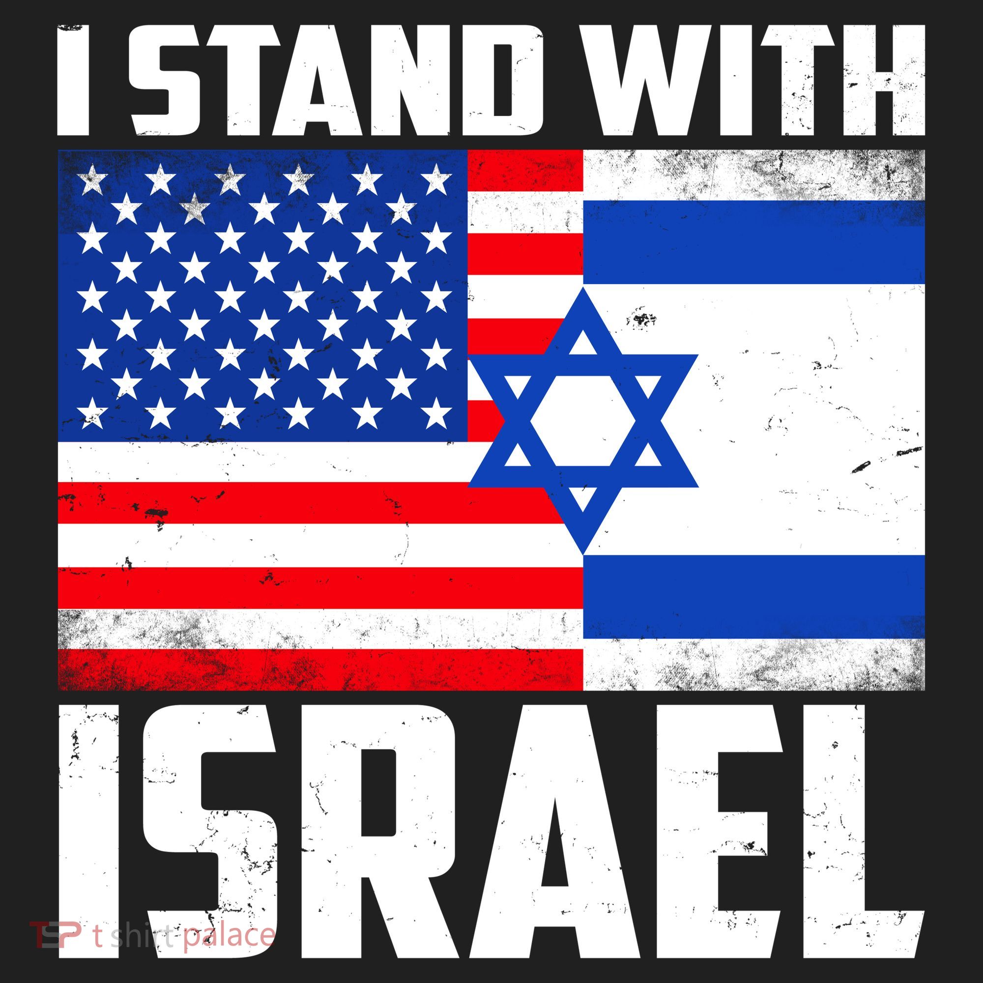 I Stand With Israel US Flags United Distressed Beanie