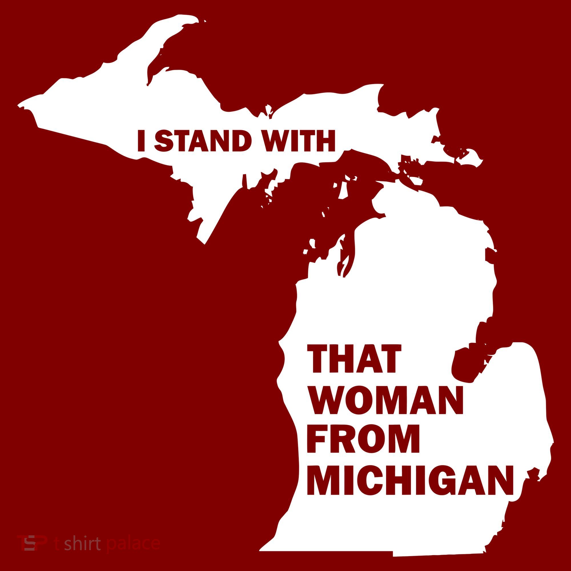 I Stand With That Woman From Michigan Social Justice T-Shirt