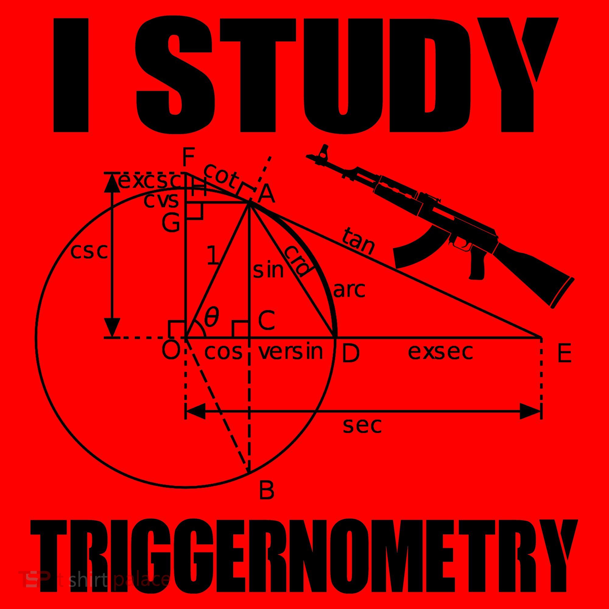 I Study Triggernometry Gun Santa Hat