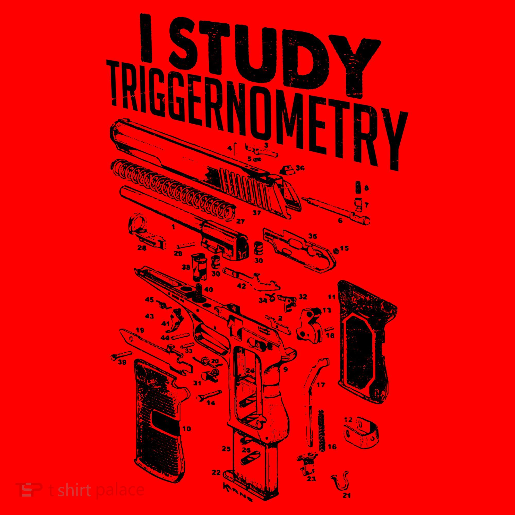 I Study Triggernometry Gun Diagram Santa Hat