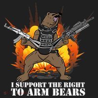 I Support The Right To Arm Bears Beanie thumb 2