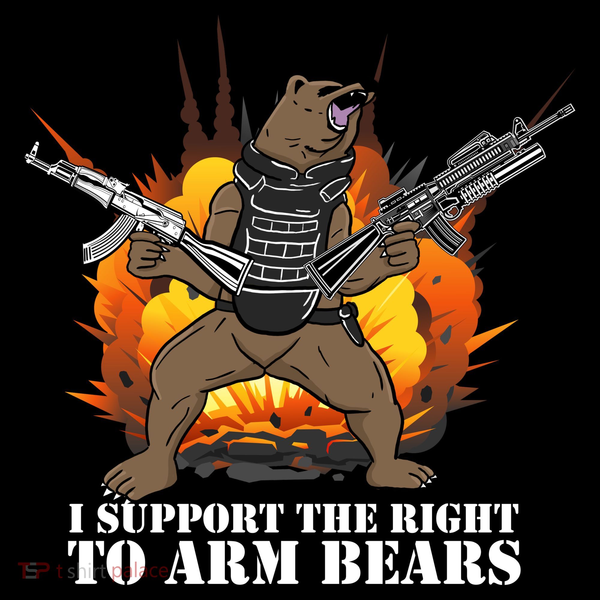I Support The Right To Arm Bears Women's Hoodie