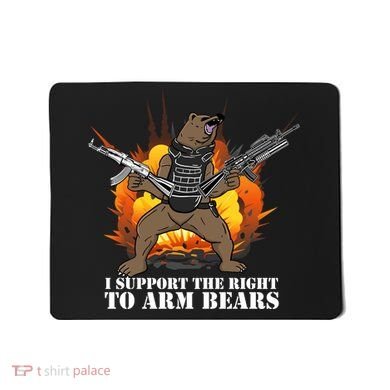 I Support The Right To Arm Bears Mousepad