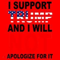 I Support Trump And Will Not Apologize For It Santa Hat thumb 1