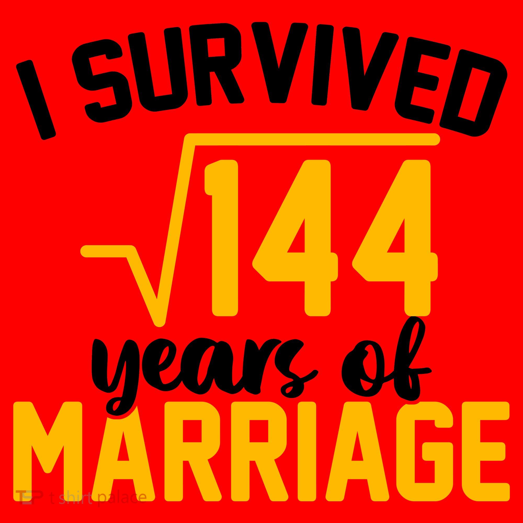 I Survived 144 Years Of Marriage Santa Hat