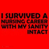 I Survived A Nursing Career With My Sanity Somewhat Intact Santa Hat thumb 1