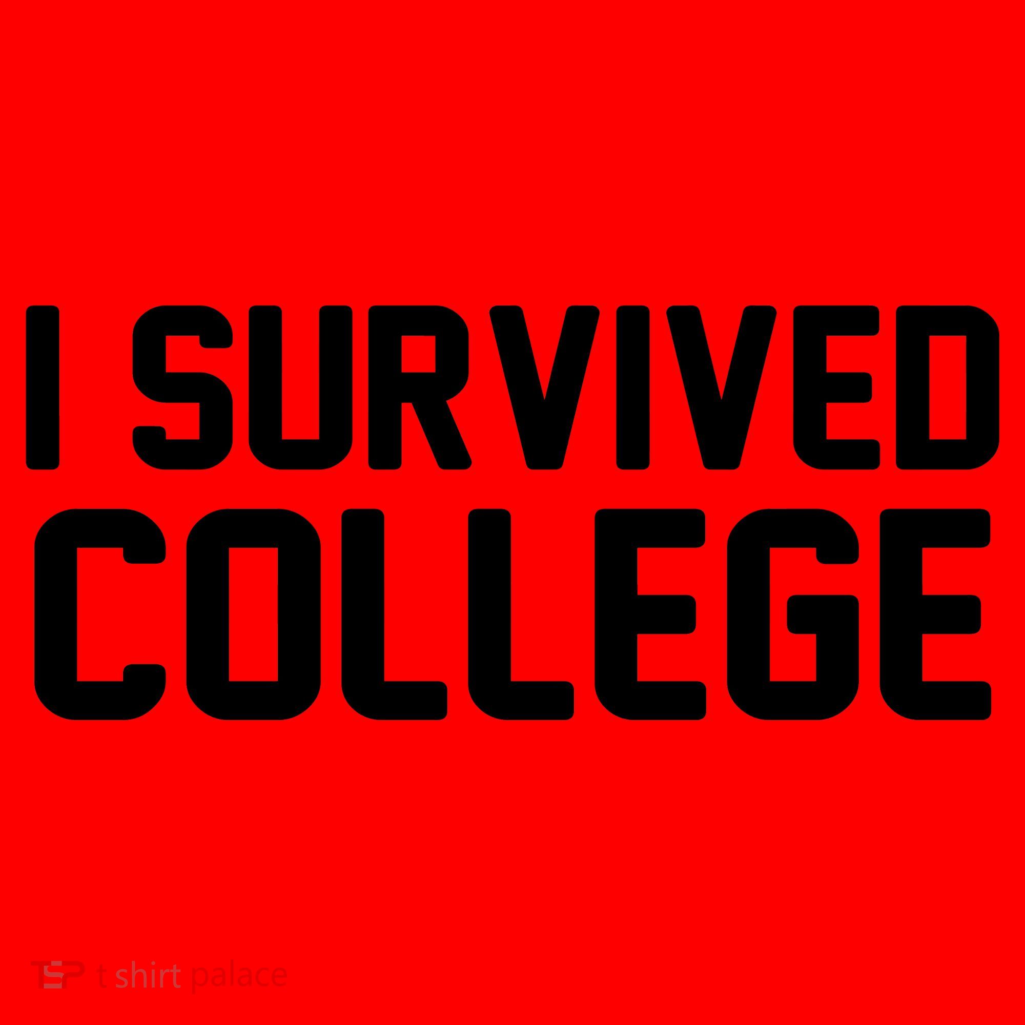 I Survived College Santa Hat