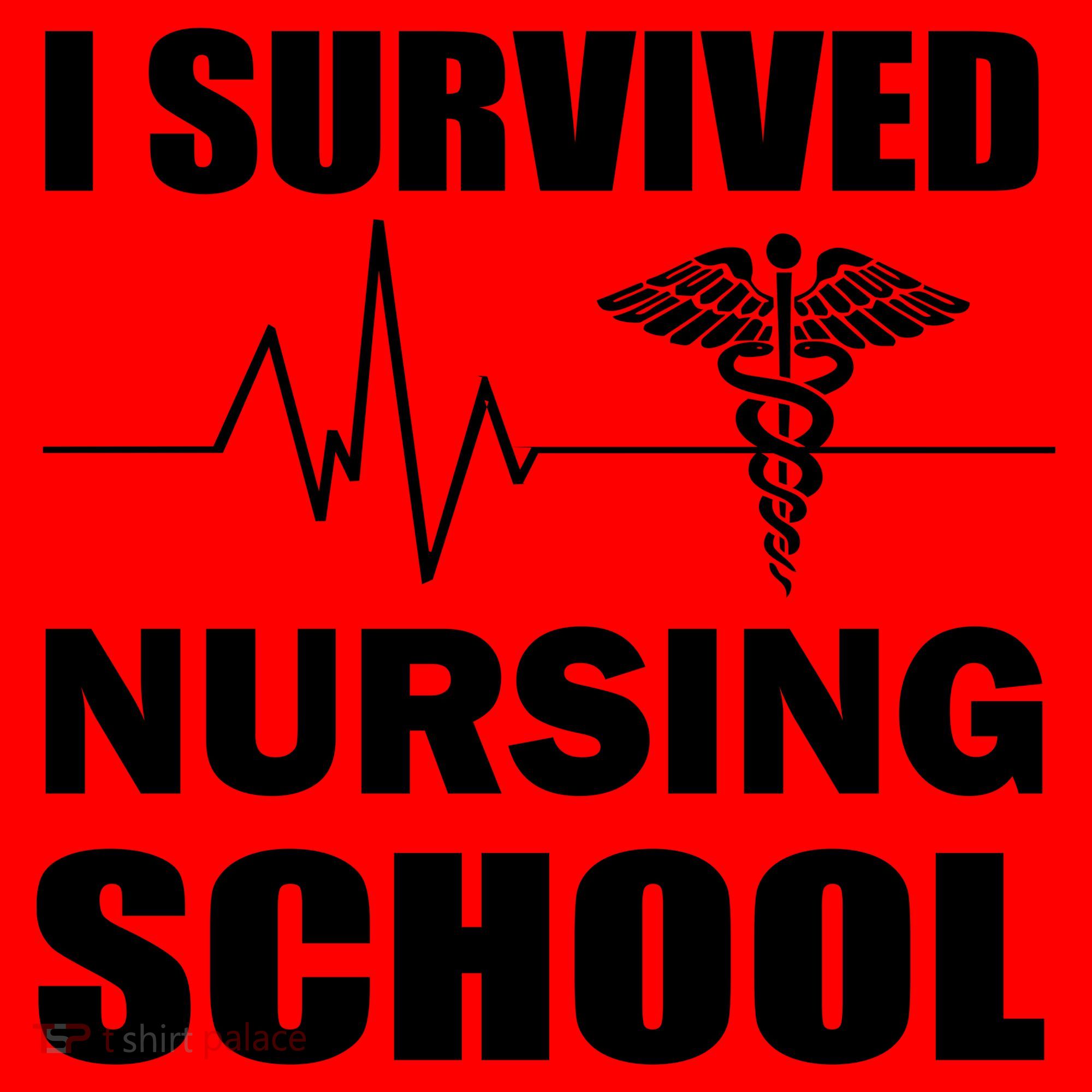 I Survived Nursing School Santa Hat