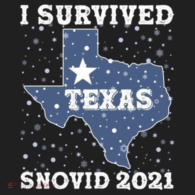 I Survived Snovid 2021Texas Snowstorm 24oz Duet Stainless Steel Tumbler